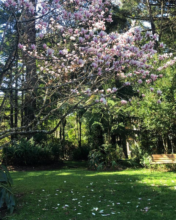 Casa Goldoni Gramado Villa Ngoại thất bức ảnh