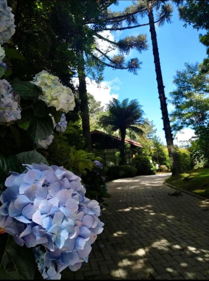 Casa Goldoni Gramado Villa Ngoại thất bức ảnh